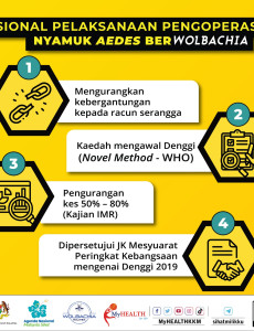 Rasional Pelaksanaan Pengoperasian Nyamuk Aedes Berwolbachia